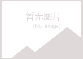 红古区夏岚工程有限公司